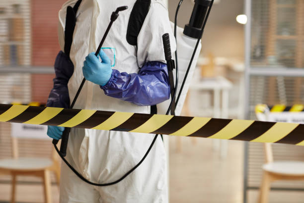 Professional Biohazard Cleanup technician working in Greenville, NH